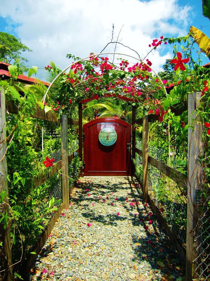 Casa Abundancyah B&B Bocas Town Ngoại thất bức ảnh